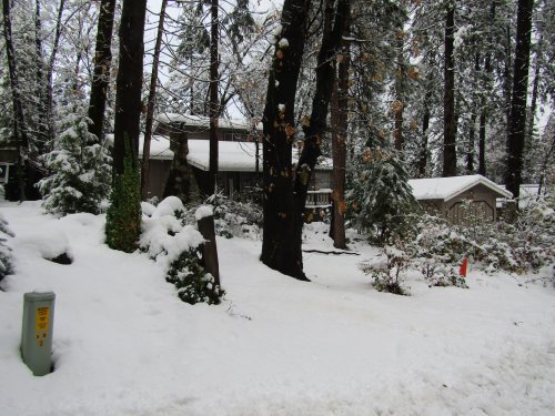 snow at Kim's